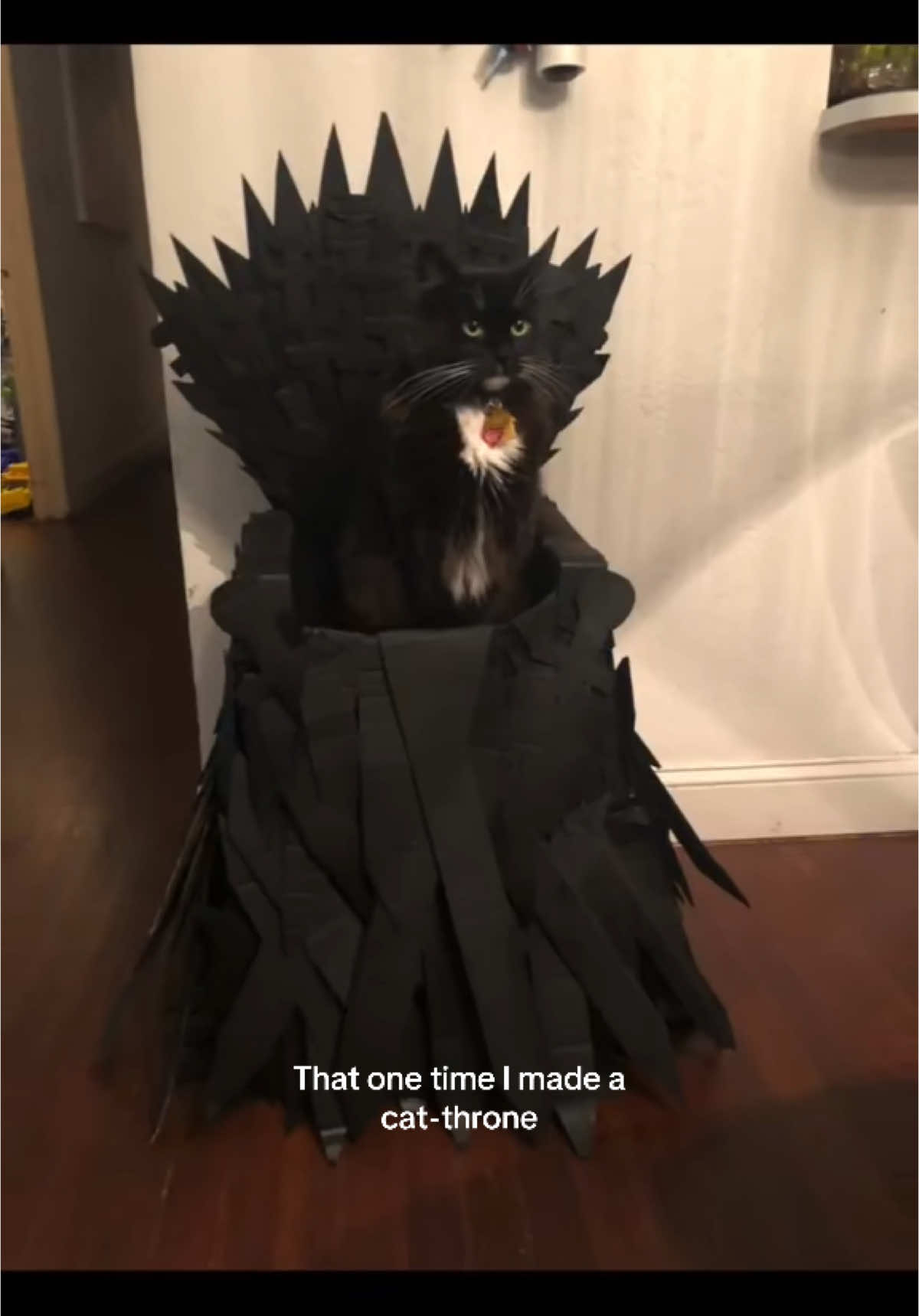 I might have to make this again #catsoftiktok #cats #catsmoves #catslovers #catsvideo #catsofinstagram #tabbycat #tabbycatsoftiktok #tuxedocat #tuxedocatsoftiktok #diyproject #gameofthronesedit #throne #onthisday 