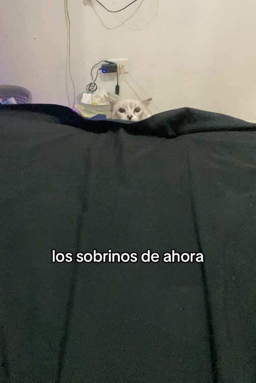 me mordia y se iba 😭 #gatitos #gatos #chompiras