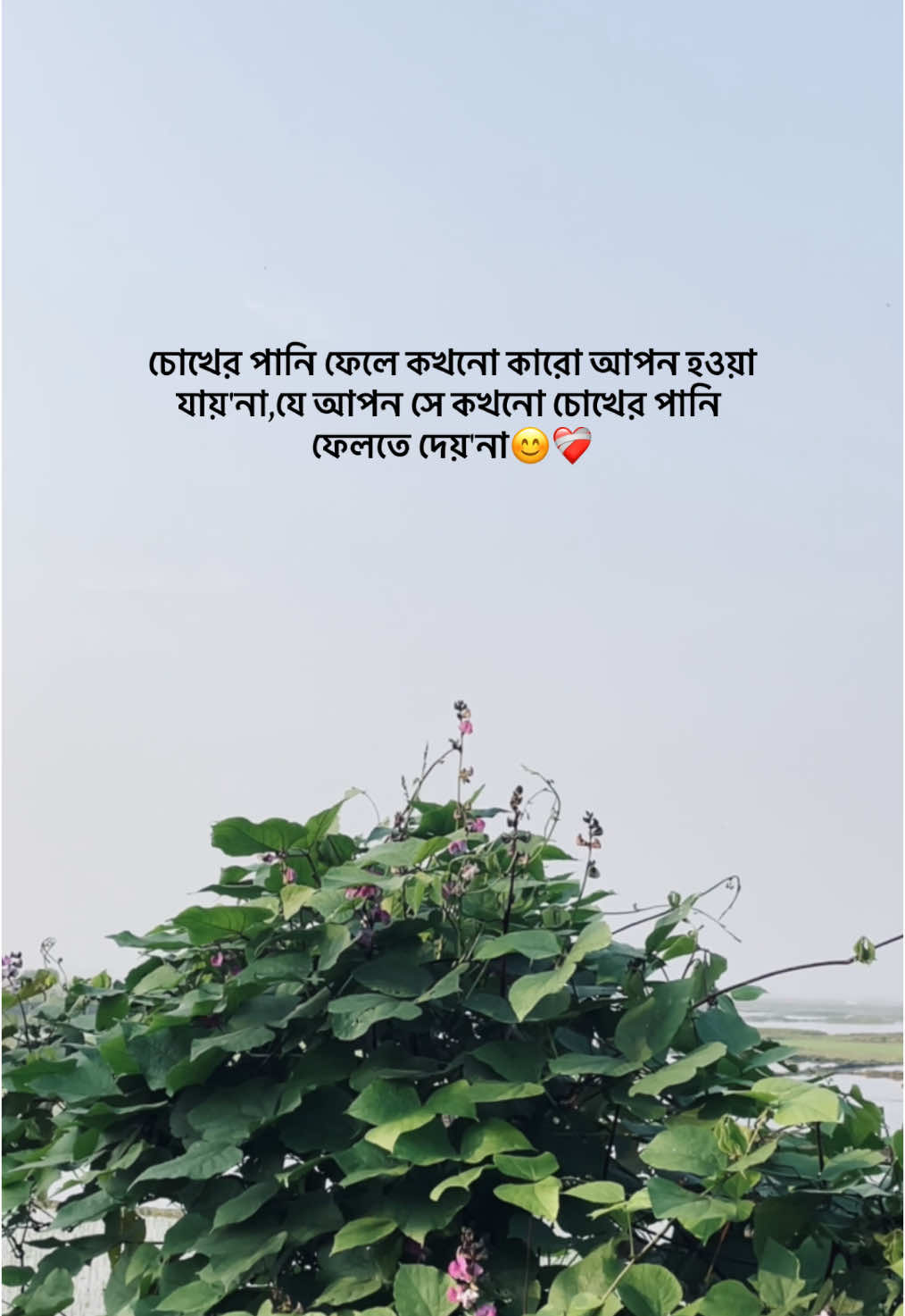 চোখের পানি ফেলে কখনো কারো আপন হওয়া যায়'না,যে আপন সে কখনো চোখের পানি ফেলতে দেয়'না😊❤️‍🩹 #myaccountunfreze #foryoupage #foryou 