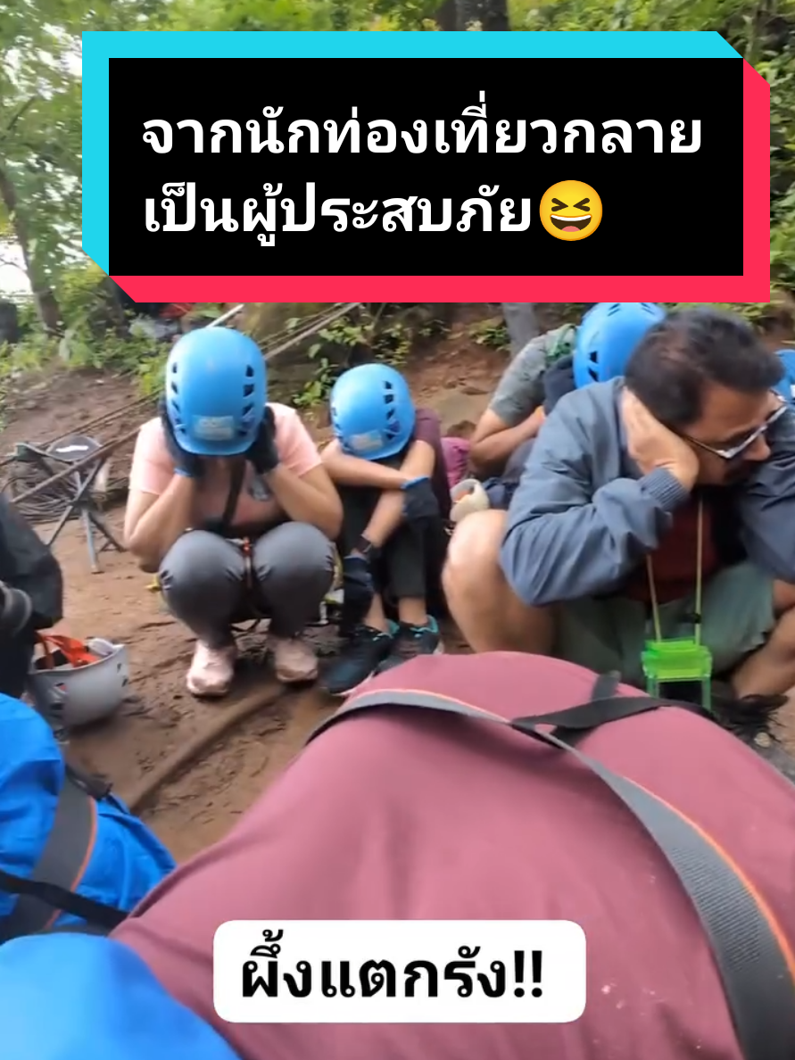 จากนักท่องเที่ยวกลายเป็นผู้ประสบภัยทันที😆 #ผึ้งน้อย  #เที่ยวยังไง  #ผึ้งต่อย 