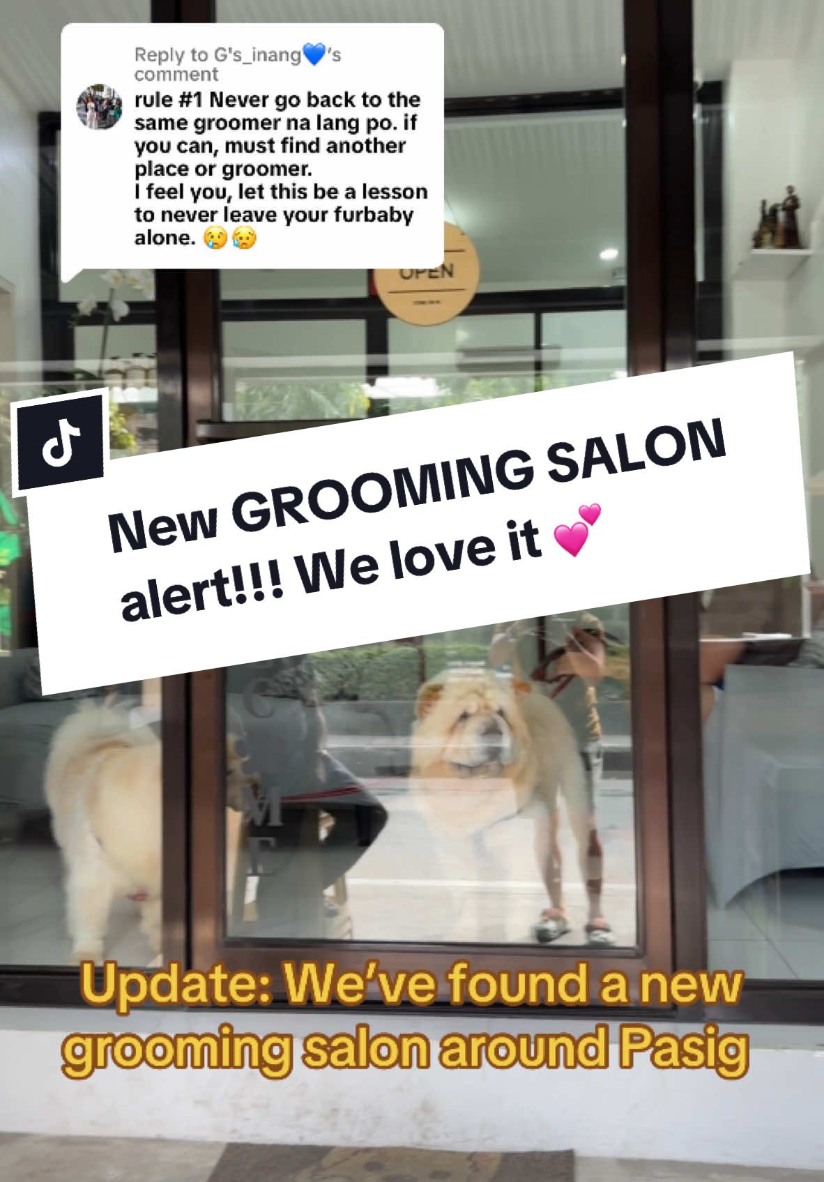 Replying to @G's_inang💙  Happy to share that Bacon and Nugget found a new decent Grooming Salon 🥰 #nuggetthechowchow #baconthechowchow #doggrooming #petgrooming #doglovers 