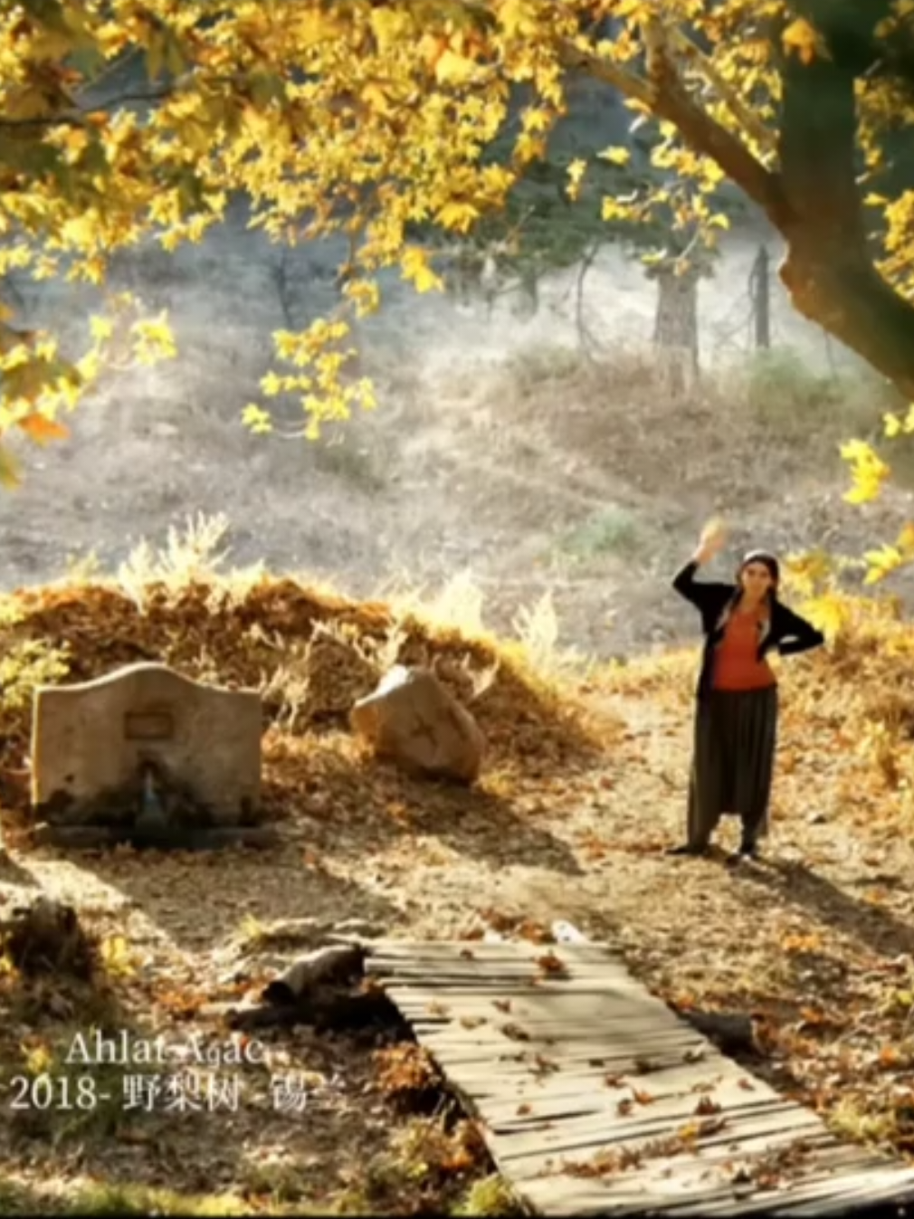 In autumn, people tend to be immersed in thoughts #losttape2 #moviescene #RecommendedMovies 