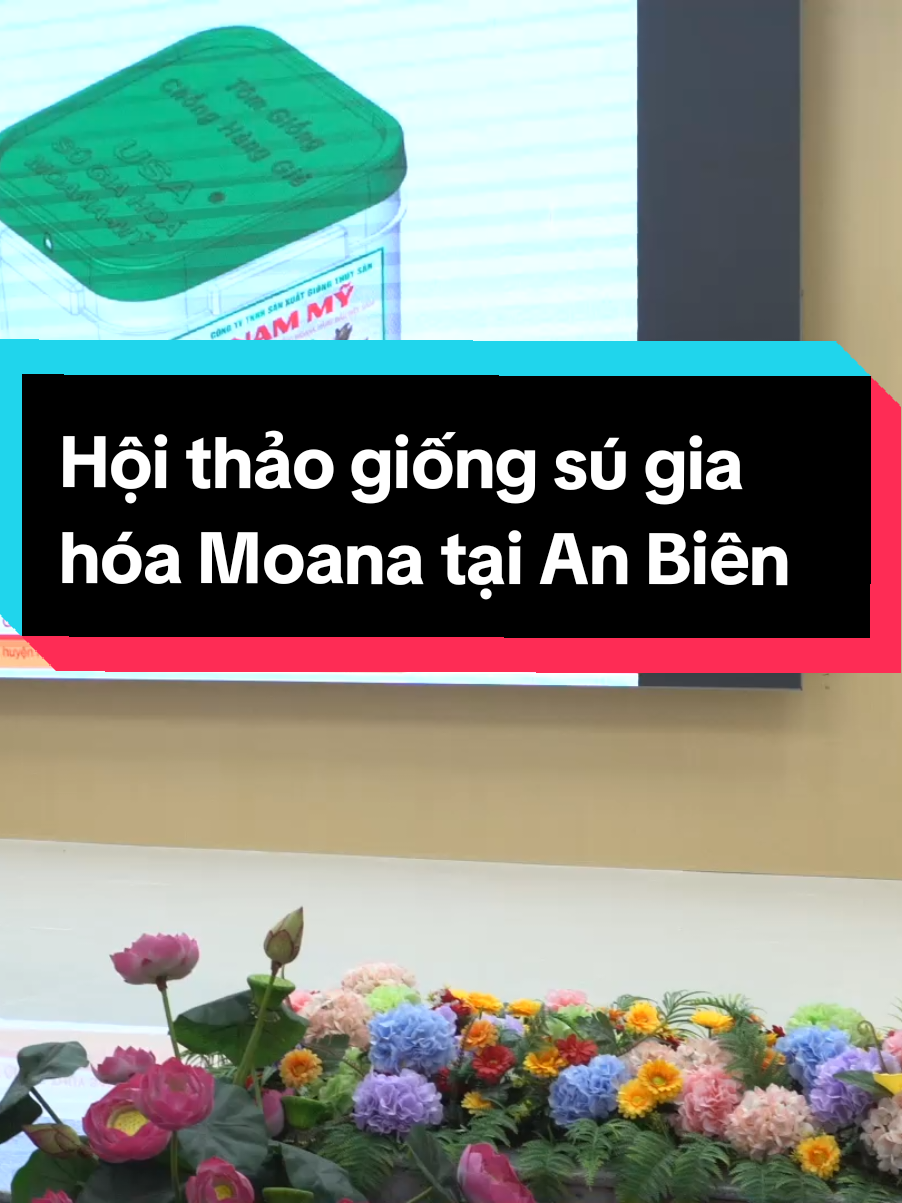 Nam Mỹ và chính quyền địa phương tổ chức hội thảo về con sú gia hóa Moana chính hiệu tại An Biên, tỉnh Kiên Giang. Giúp bà con nuôi tôm tránh được nguồn tôm sú giả. #tomlua #nuoitomquancanh #tomgiongchatluongcao #giongtomsu #tomgiongnammy #tomgiongthechantrang #giatomhomnay #nuoitom 