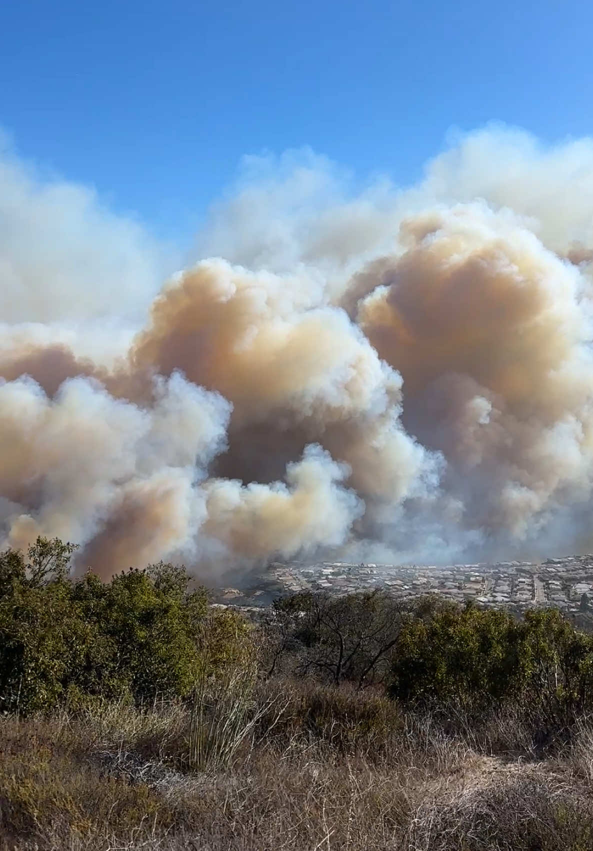 Earlier today overlooking LA from #TopangaStatePark & the #PalisadesFire 😬  #wildfire #parkermesaoverlook 