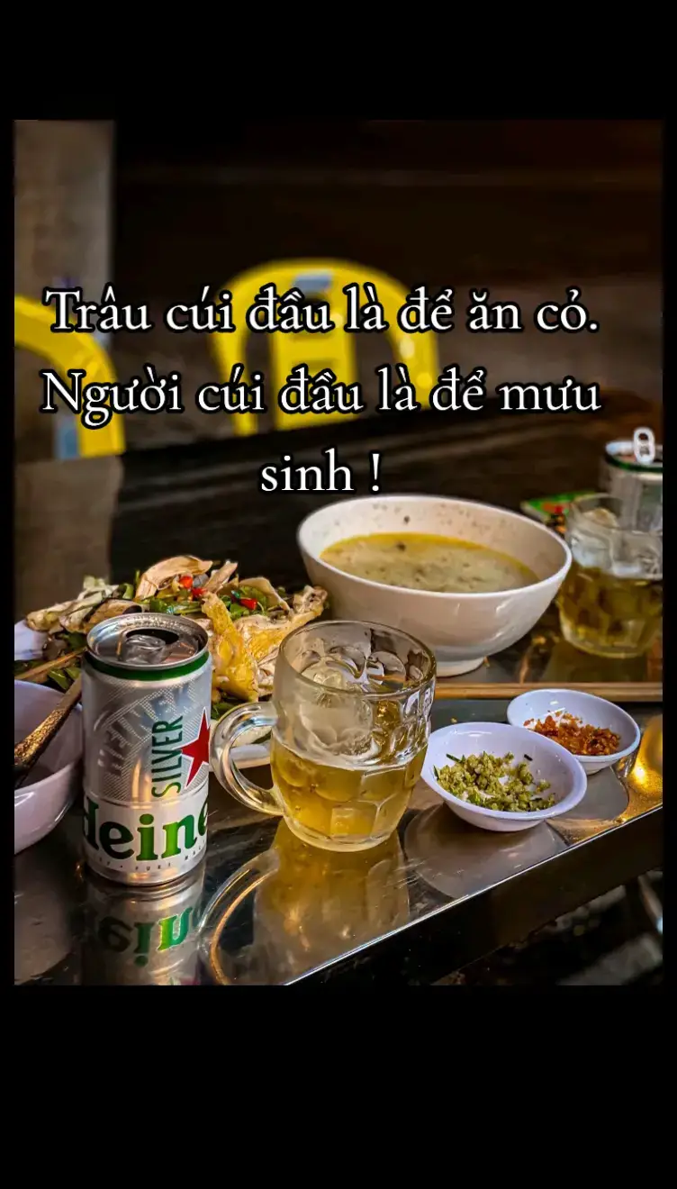 Trâu cúi đầu là để ăn cỏ. Người cúi đầu là để mưu sinh ! #1995🏳‍🌈 