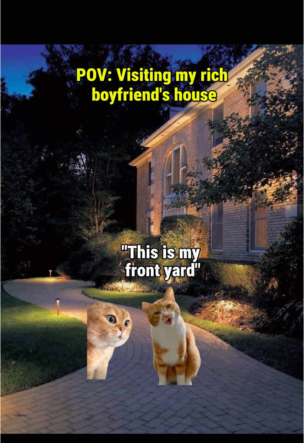 Visiting my rich boyfriend’s house #catmeme #relatable #catsoftiktok #Relationship 