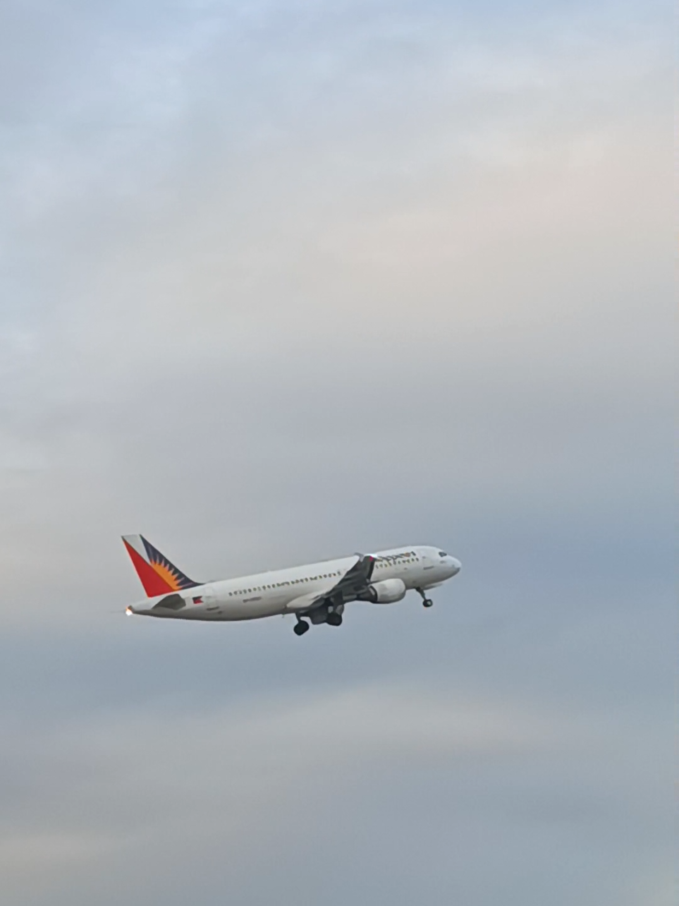 #philippine airlines#airbus 320-200#rp-c8612#fypppppp