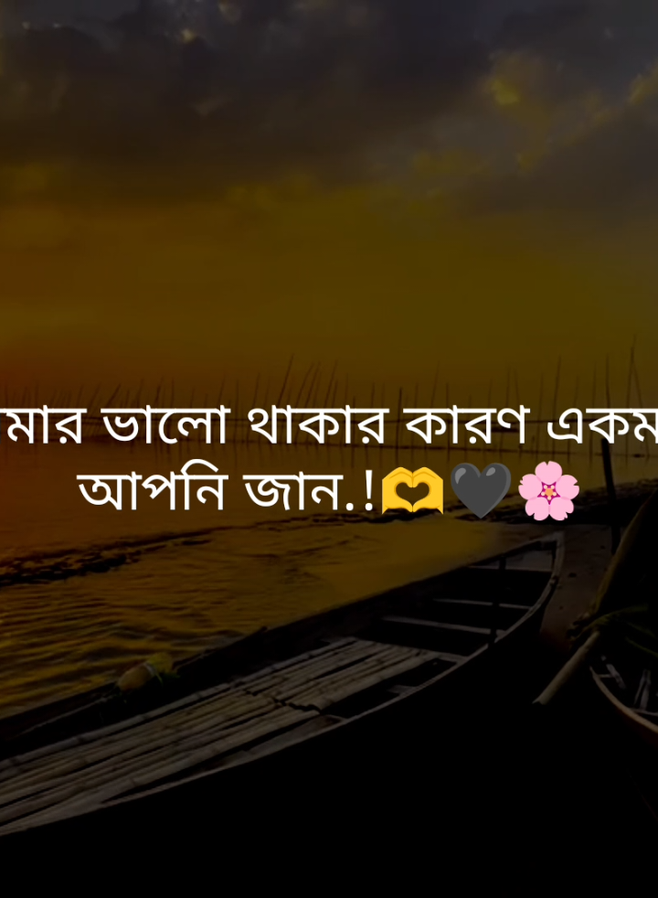 আমার ভালো থাকার কারণ একমাত্র আপনি জান.!🫶🖤🌸#fypシ゚ #tiktok #foryou #status #tibro_03 #unfrezzmyaccount 