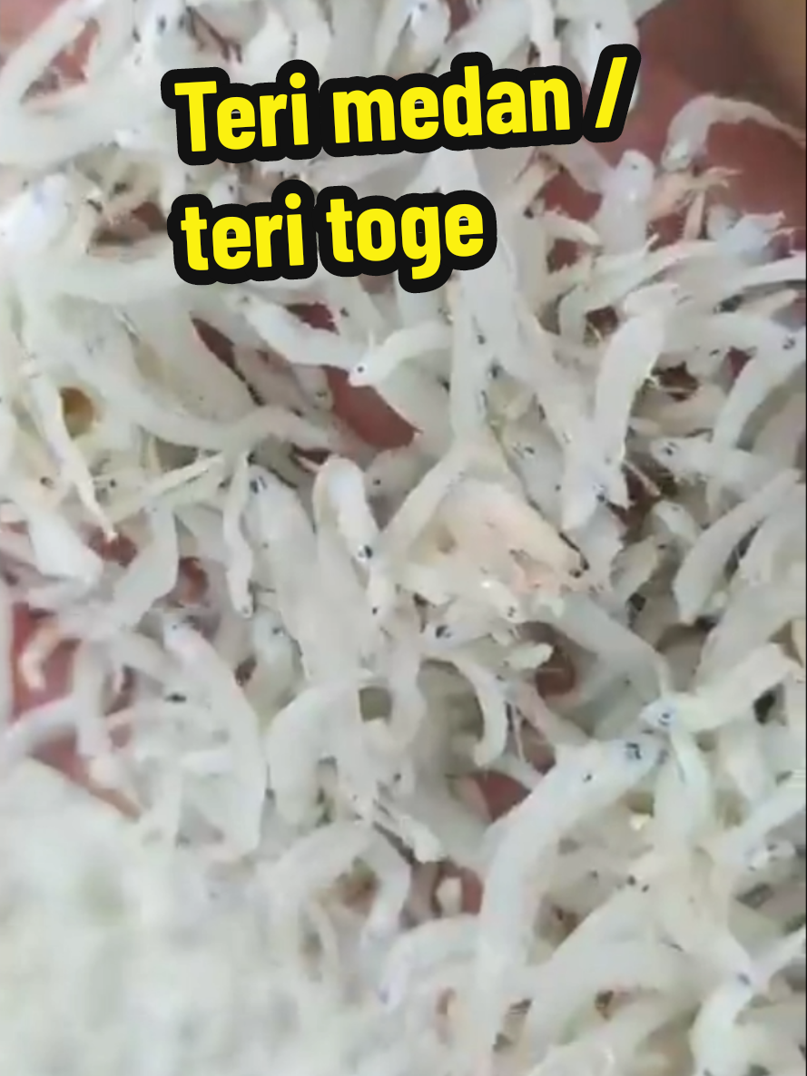 teri nasi teri medan teri toge #terimedan #teri #teritoge #terinasi 