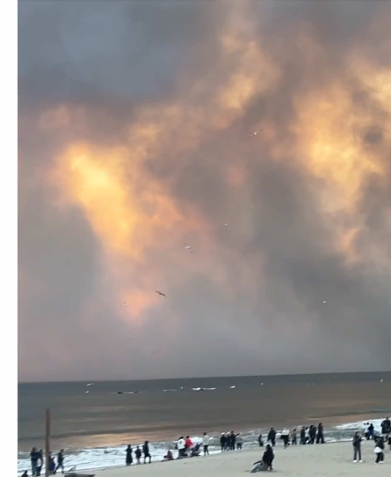 today’s Santa Monica ommmggggg!! the fire is insane 🔥 follow for more updates  #foryourpage #fyp #wildfires #la #pasadena #news #losangeles #pacificpalisades #weather #2025 #california #wind