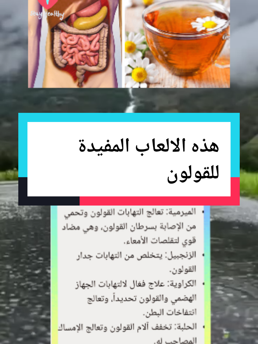 هذه الاعشاب المفيدة للقولون العصبي #طبيب_تيك_توك #اكسبلور #علاج_طبيعي #طبيب #اقتباسات #معلومات_طبية #منارة_العلم🥀 #فوائد #نصائح #علاج_في_بيتك #for #fyp #viralllllll #foruyou #اعشاب_طبيعيه_فوائد #علاج_بالاعشاب #فوائد_الاعشاب 