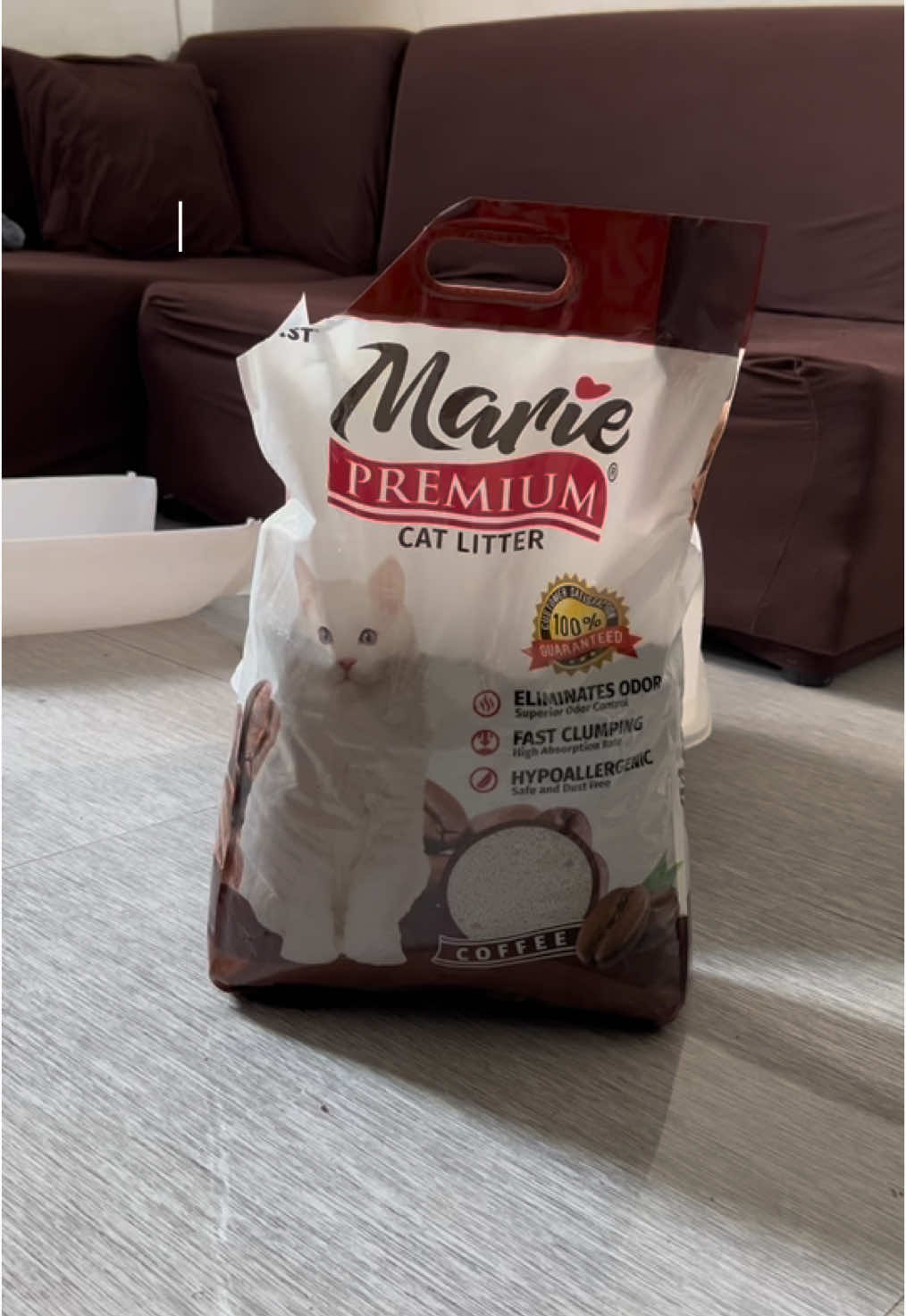 Bagong refill at linis ang minahan ng 💩 #marielleeeeeyyy #catlitter #littersand #litterbox #cat #catsoftiktok #cats #cattok #pet #pets #PetsOfTikTok #fyp #fypage #fyppppppppppppppppppppppp #fypp #fyppp #for #foryou #foryoupage #foryourpage #foryoupageofficiall #foru #foruyou #forupage #catessentials #catessential #petessentials #petessential #petmusthaves #catmusthave 