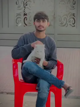 ❤️‍🩹✨”#foryou #foryoupage #fyp #viralvideo #mursalrandhawa2 @MR jutT😎 @Ch Rohan 🦅😈😎 