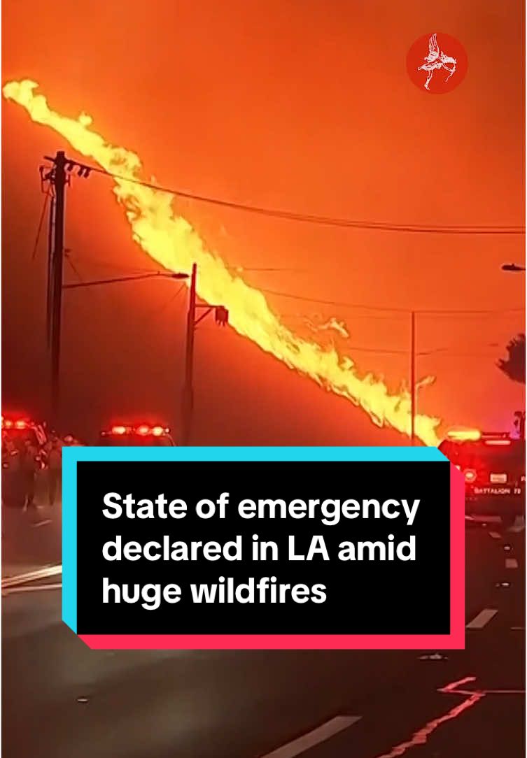 California wildfires: State of emergency declared in Los Angeles and 30,000 evacuated as huge blaze rips through celebrity neighbourhood #fyp #foryou #foryoupage #losangeles #la #lafire #losangelesfire #pacificpalisades #palisadesfire #wildfire #forestfire #santamonica #malibu #climatechange #usnews 