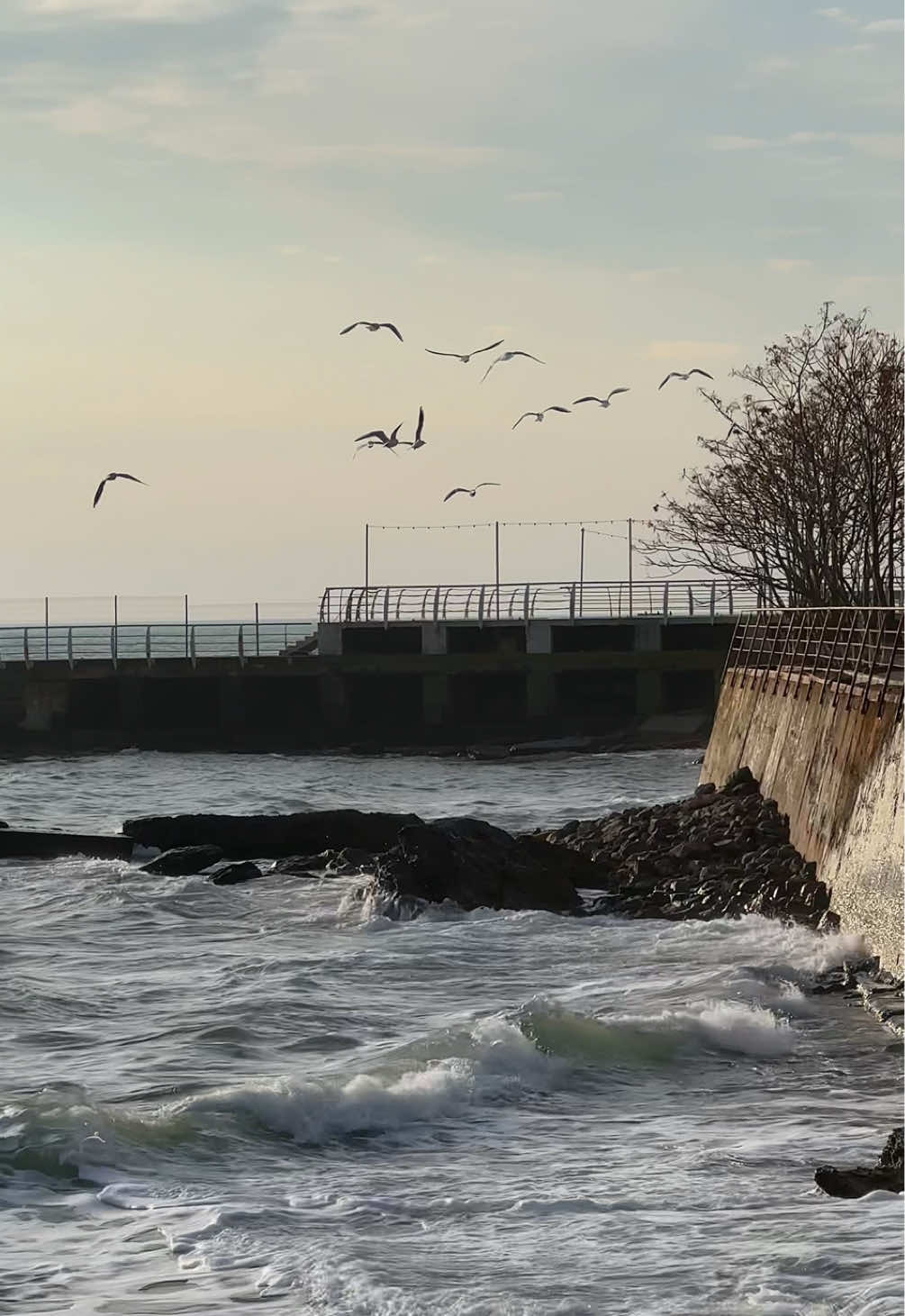 Одеса 🌊🕊️ #одеса #україна #море #odesa #sea #beach #beachvibes #fypp #recommendations #videoviral #ukraine__top #nature #beautiful #fypシ゚viral🖤tiktok #❤️❤️ #💙💛