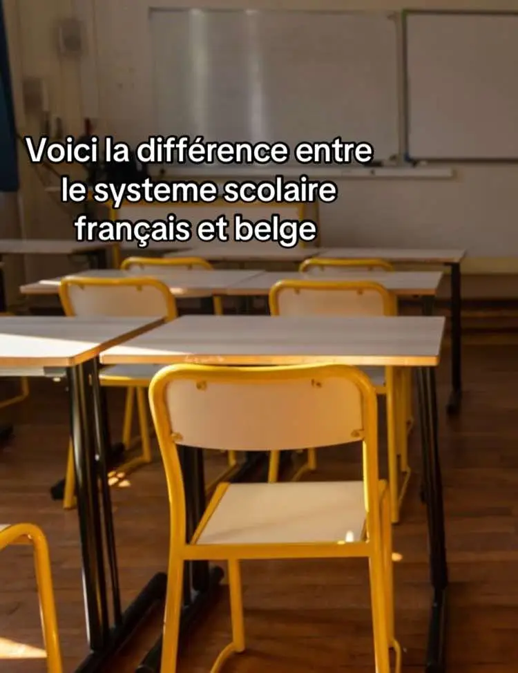 J’ai remarqué que beaucoup galérais a reconnaître #systemescolaire #belgique #france #pourtoi #republication  la 7e existe pour lzs pro et les tq!! (Bientôt supprimer ppur les tq)#7esecondaire #tq #professionnel 