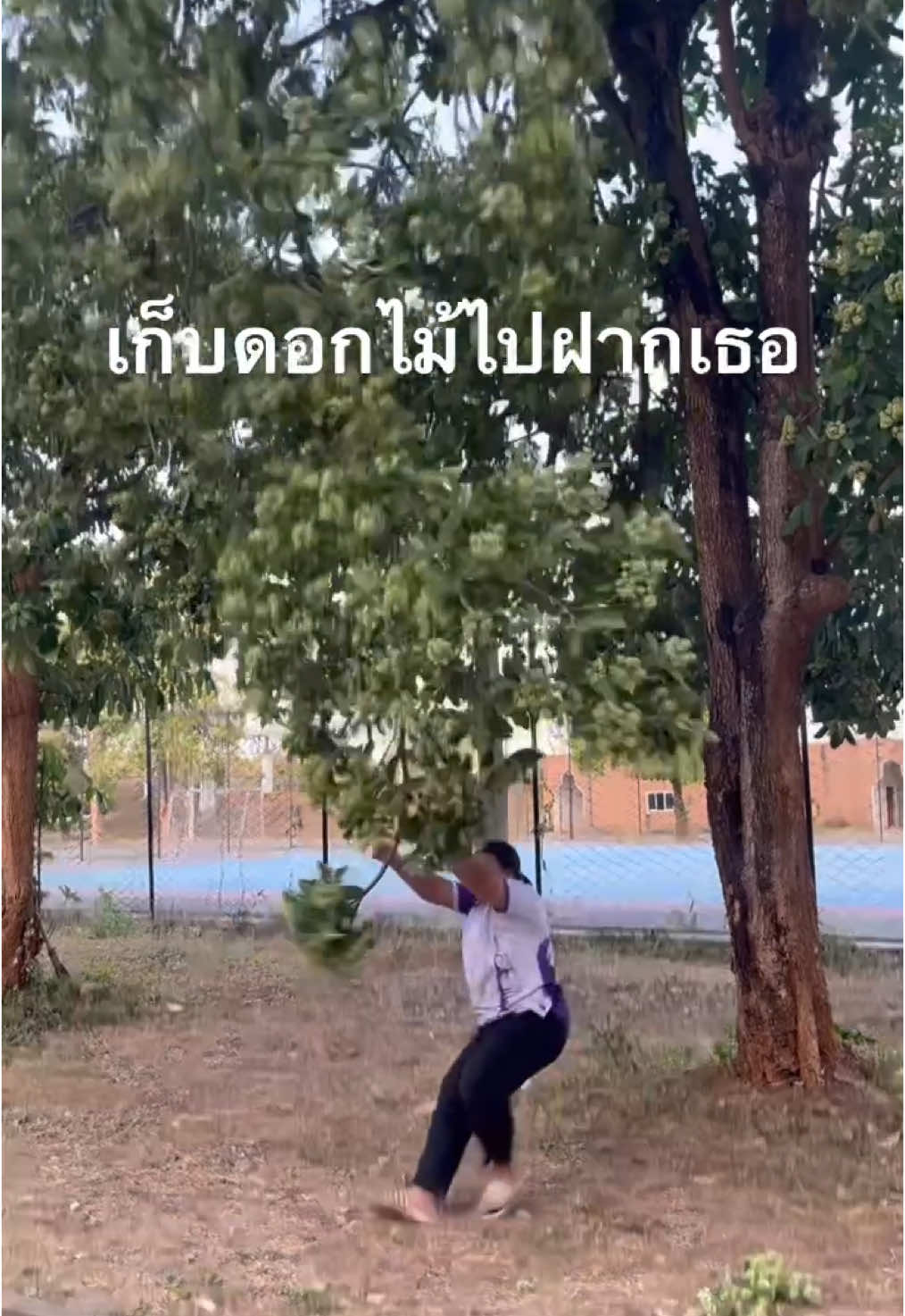 บ่มีหยังให้นอกจากดอกตีนเป็ด5555 #ดอกตีนเป็ด #จีบ #fyp 