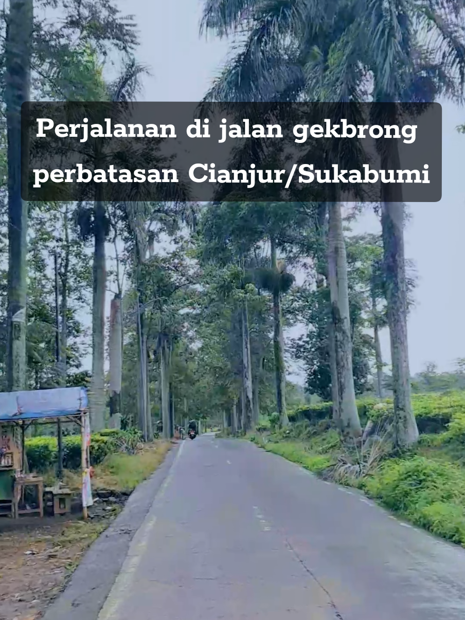 Perjalanan di jalan gekbrong perbatasan Cianjur /Sukabumi #jalan #jalanhits #perjalanan #hujan #kebunteh #gekbrong #perbatasan #cianjur #sukabumi #jawabarat 