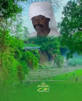 #محمد_بعد_افلس #عبد #المنعم #فارس #الطمبور_صديقنا_وعزنا_وملجأنا🎶🎼 #القرير_الولايه_الشماليه🌴 #شمالنا_الحبيب🌴💚 #شوايقه💚السودان_مروي_الخرطوم_بحري_امدر 