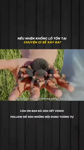 NẾU NHỆN KHỔNG LỒ TỒN TẠI, CHUYỆN GÌ SẼ XẢY RA? #LearnOnTikTok #xuhuongtiktok #khampha #khoahoc 