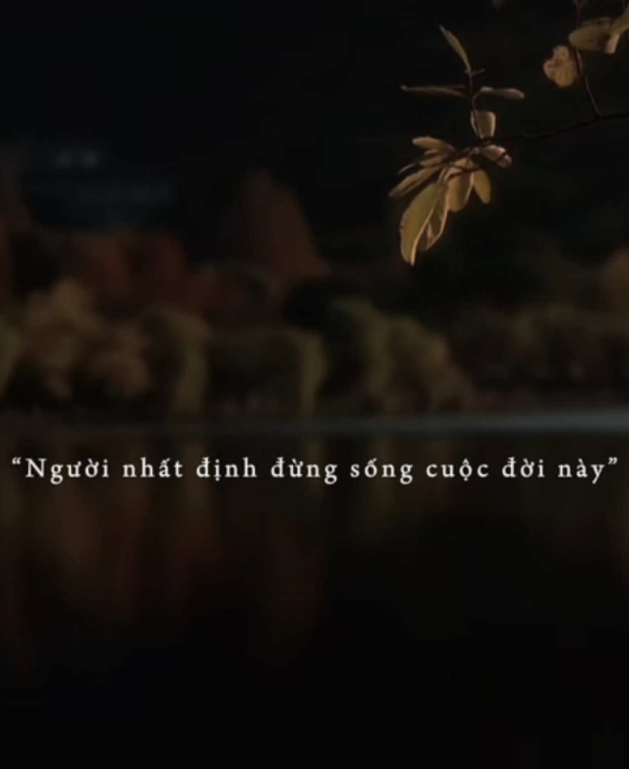 Hãy nhớ kỹ, đừng bao giờ sống lại cuộc đời này..#khoi_31_8 #lyrics #xh #nhachaymoingay 