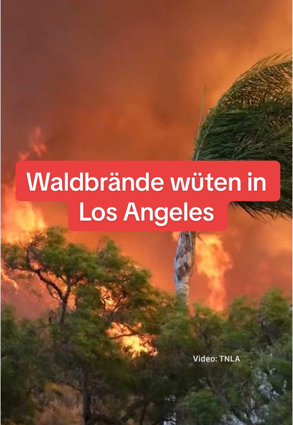 Im Grossraum Los Angeles kämpft die Feuerwehr gegen verheerende Waldbrände, die sich rasant ausbreiten. Eine Fläche von mindestens 16 Quadratkilometern steht bereits in Flammen 🔥🇺🇸🔥 30'000 Menschen mussten ihre Häuser verlassen. Kaliforniens Gouverneur Gavin Newsom erklärt für die Region den Notstand. Besonders betroffen ist der Stadtteil Pacific Palisades im Westen von Los Angeles, wo auch einige Hollywood-Stars Häuser besitzen. 🔥🇺🇸🔥 Die Brandursache ist noch nicht bekannt. Sicher ist aber: Das trockene Wetter der vergangenen Monate hat die Feuer begünstigt. Wegen anhaltender starker Winde könnten sich die Brände in den kommenden Tagen noch vergrössern. #waldbrand #losangeles #usa #kalifornien #srf #news #srfnews 