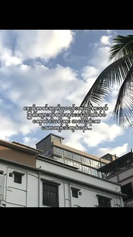 သိပ်ပြီးကိုယ့်ကိုကိုယ့်စောက်ထင်ကြီးမနေနဲ့ တစ်ယောက်ဆိုတစ်ယောက်ပန်းတောက်ဆိုပန်းတောက်ဆိုပင်မဲ့ exမပါဘူးအဲ့စရင်းထဲ #foryoupage❤️❤️ ##foru #frpgeシ 