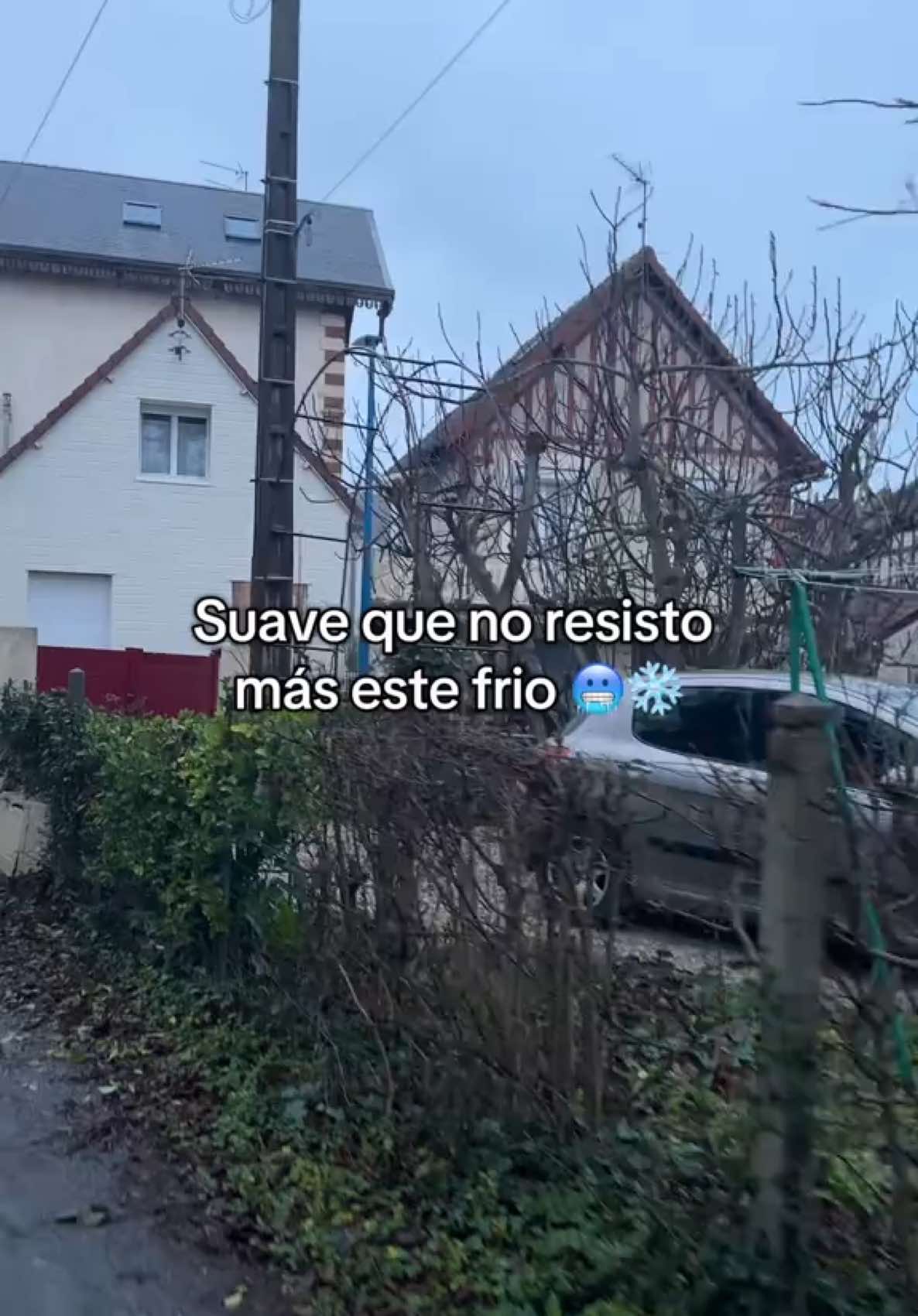 Suave que no resiste más este frío 🥶  #francia🇨🇵 #latinosenfrancia #latinoseneuropa #colombianosenelexterior