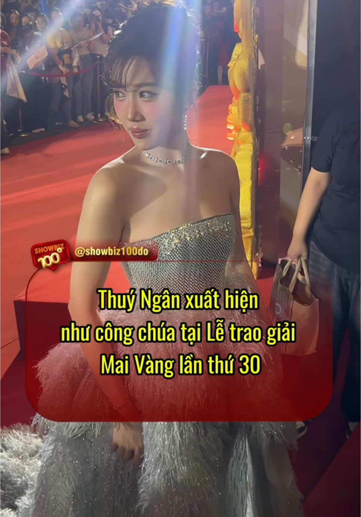 Quá đẹp #showbiz100do #GiaiMaiVang #MaiVang30nam #ProundVietnam #thuyngan #vbiz #tintuc #showbiz 