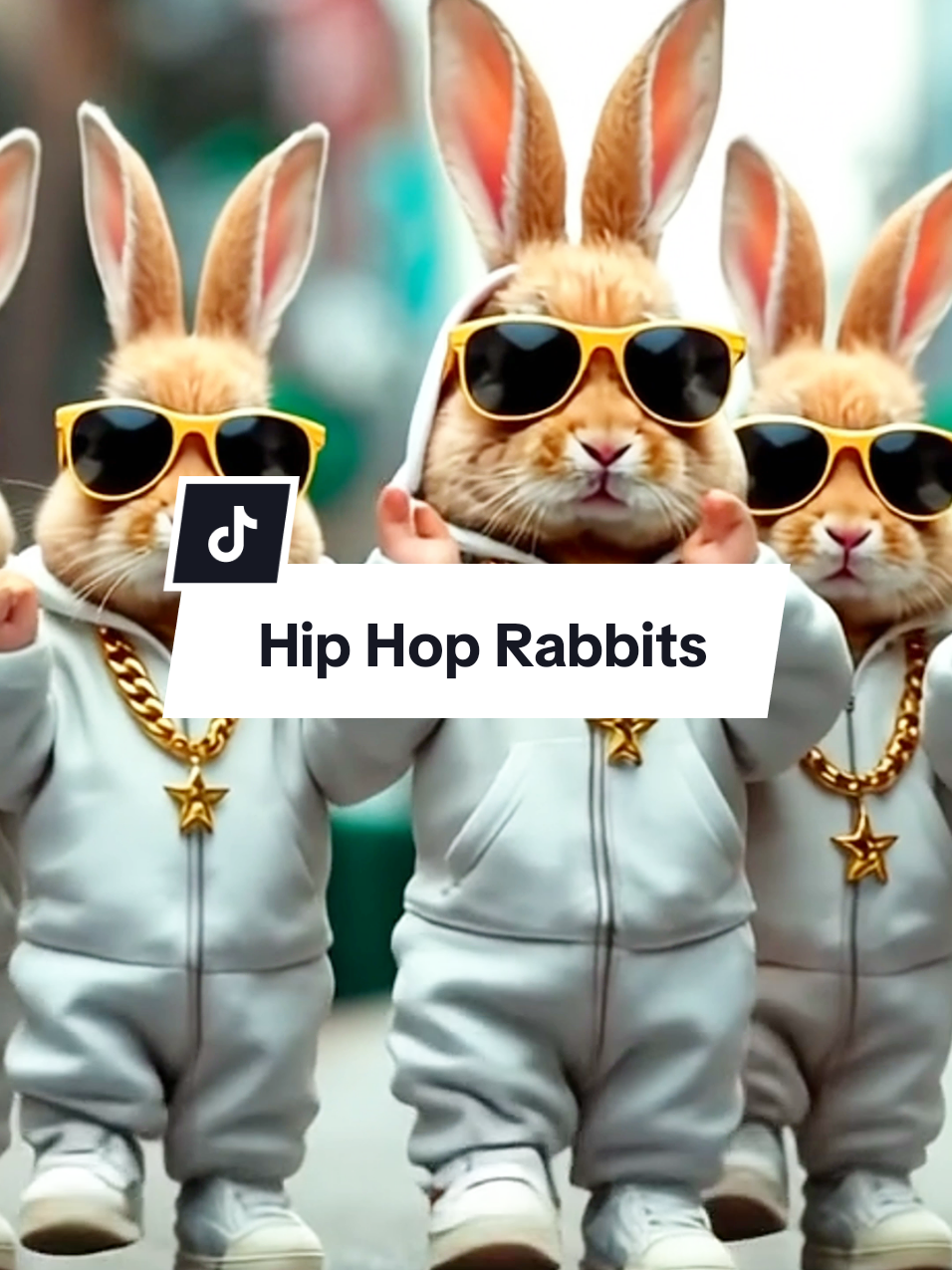 Hip Hop rabbits dancing in the streets of Brooklyn #cuterabbit #hiphop #50cent @50 Cent 