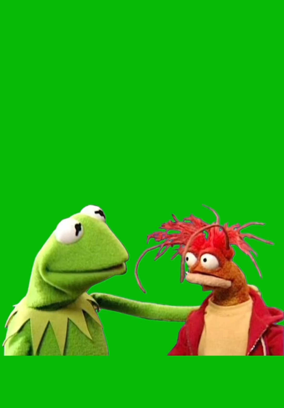 Kermit the Frog & Pepe the King Prawn meme green screen capcut template #kermitthefrog #pepethekingprawn #kermit #pepe #meme #greenscreenmemes #capcuttemplate #CapCut 