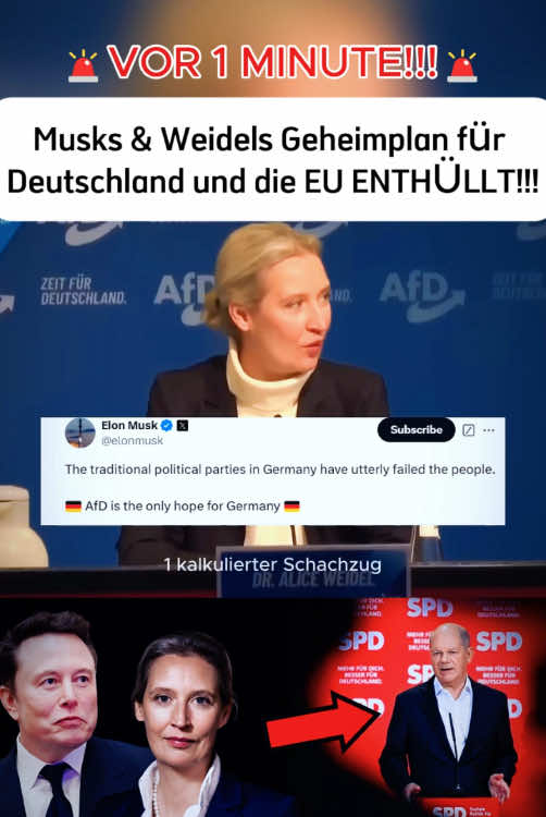 #afd #News #Nachrichten #Wirtschaft 