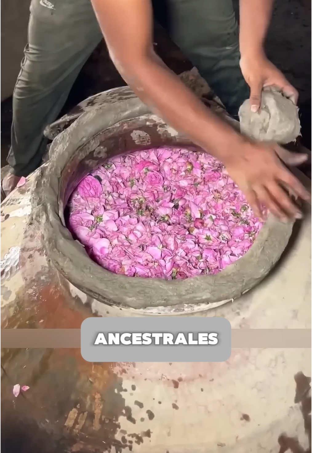 Production de parfum de rose traditionnelle 🌸.
