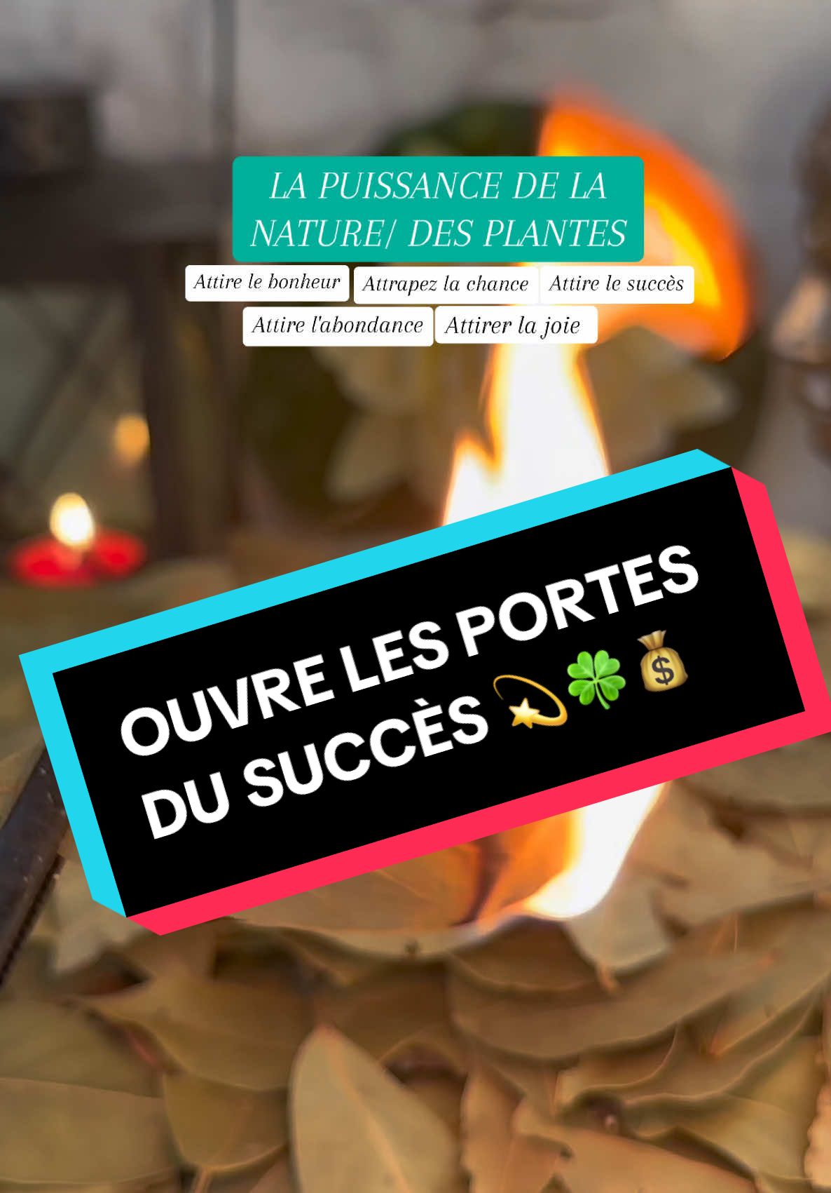 Attirer l'abondance avec les feuilles de laurier #abondance #change #etatsunis #lucky #nature #pt #poutoi #fyp #f #naturel #astuce #voeux #argent #envoutement #blocage #spirituel #abondance #purification #bain #attirance #drakafelix🍀 #laurier #laurel 