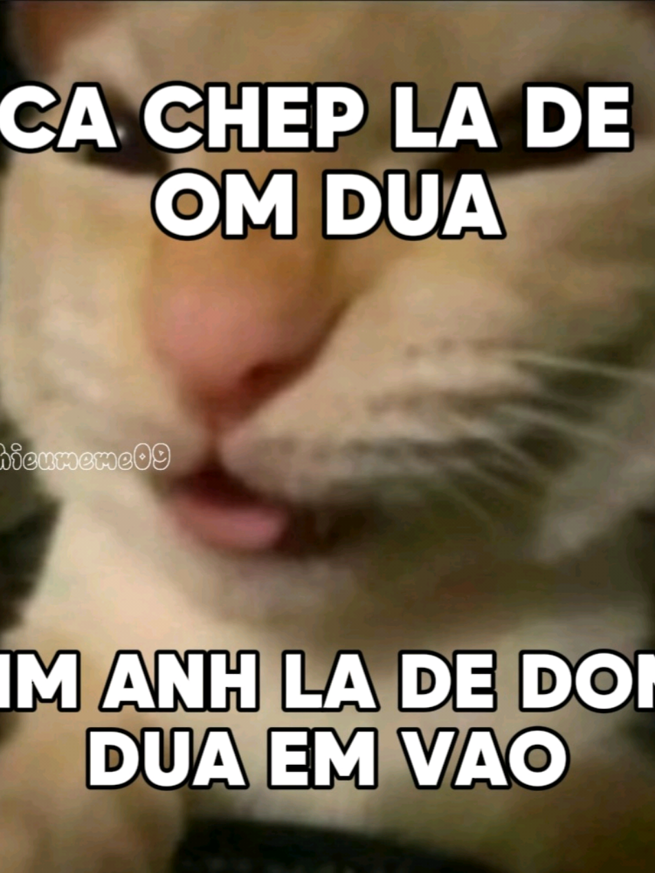 🐟 CHEP LA DE OM DUA🥘 #wxrdie #moiem #xuhuong #fyp #hieumeme09 #nhachaymoingay #viral #xh 