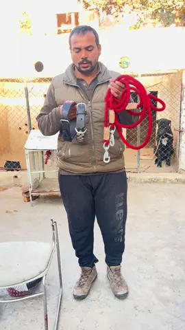 #kathadog #huntingdog #dogsvideos #shikar #dogsvideo #faisalpardesitv #trending 