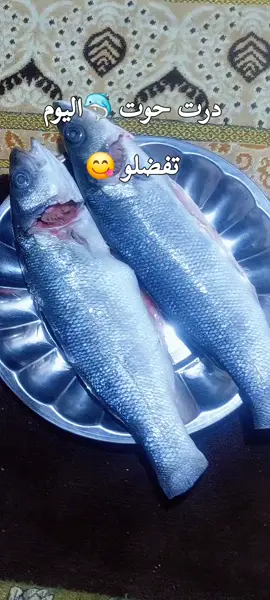 #CapCut 🐬🐬🐋😋تفضلو 😋🐬🐋 #طرابلس_بنغازي_المرج_البيضاء_درنه_طبرق  #جدابيا_المرج_البيضاء_درنه_طبرق  #شحات_سوسه_راس__البيضاء_طبرق_ليبيا  @🩺زهراء🩺 @نونا الاغا @بنت رجال مايهزها جبال @❤️‍🔥💕 براءةالعشق ❤️‍🔥💕 @💗👑بنت العز👑💗 @حياتي موجوع 💔💔🥹 @بنت درنه 💔 @🦅🦅بنت لاجواد 🦅🦅 @نبع الحياة💟💟 @سومه احمد @malktnfse22  الوردة البيضاء @بنت جوازي @بنت بنغازي @الملكة @بدويه كيوت @صمتي حكايتي 