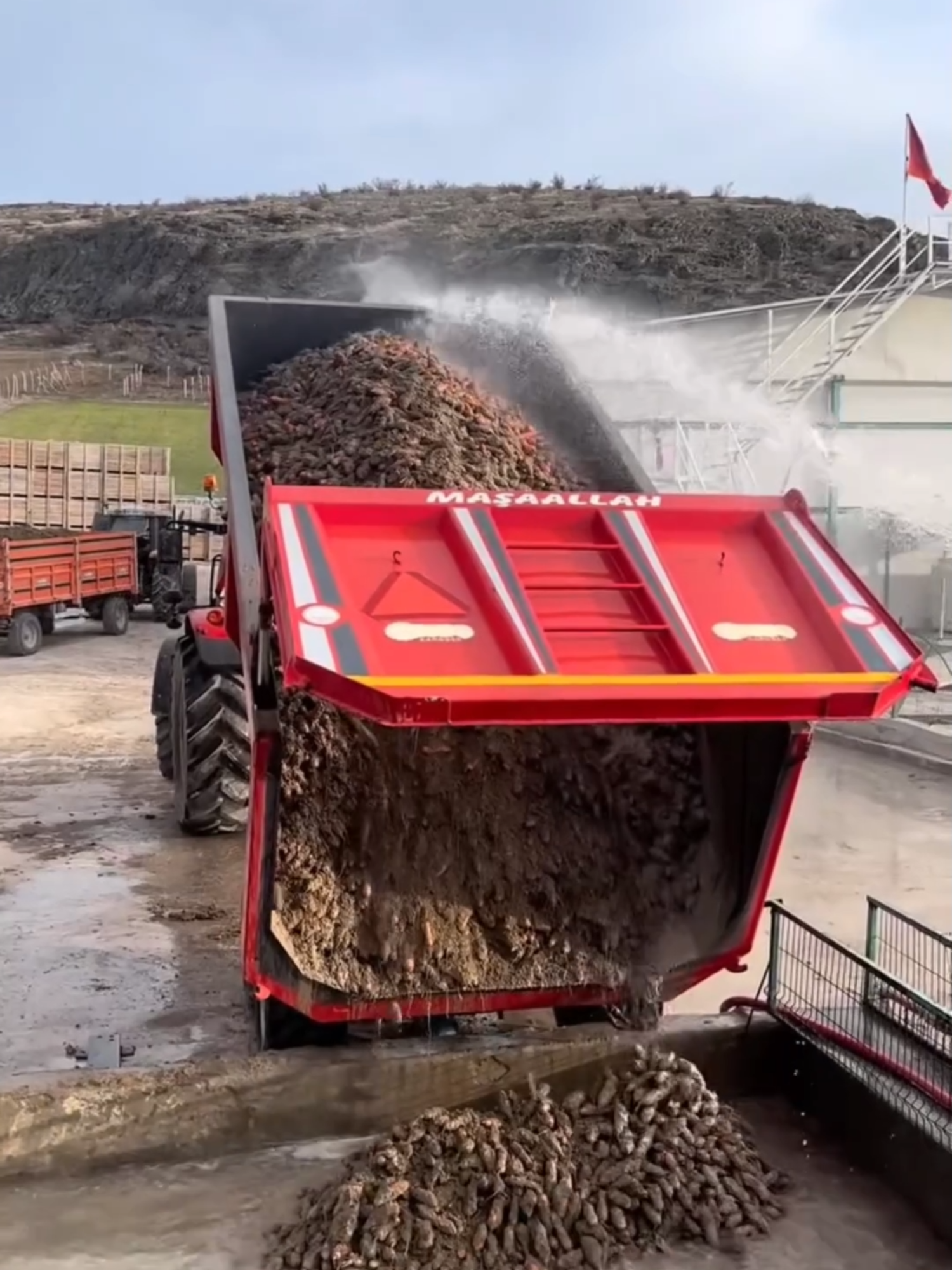 PASTA DE BATATA: UN LUJO CULINARIO COMO NINGÚN OTRO Descubre cómo se produce una de las pastas más caras del mundo, hecha a partir de batata. Desde su cuidadosa cosecha en los campos hasta su procesamiento en la fábrica, cada paso garantiza un producto único y exclusivo. El almidón extraído de la batata es el secreto detrás de su textura y sabor inigualables, combinando tradición e innovación. Este proceso detallado resulta en espaguetis de alta calidad, valorados por su exclusividad en el mercado gourmet. #PastaDeBatata #GastronomíaDeLujo #ProcesosÚnicos #InnovaciónCulinaria #BatataGourmet #PastaPremium #CosechaEspecial #CalidadYTradición #SaboresÚnicos #PastaExclusiva