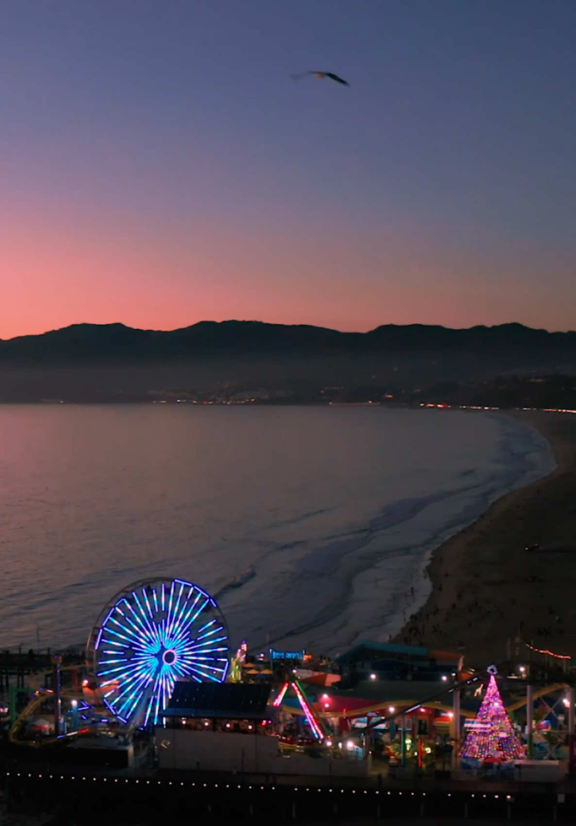 The beauty of Santa Monica 🌴🌅🌊🎡 #santamonica #losangeles #LA #california 