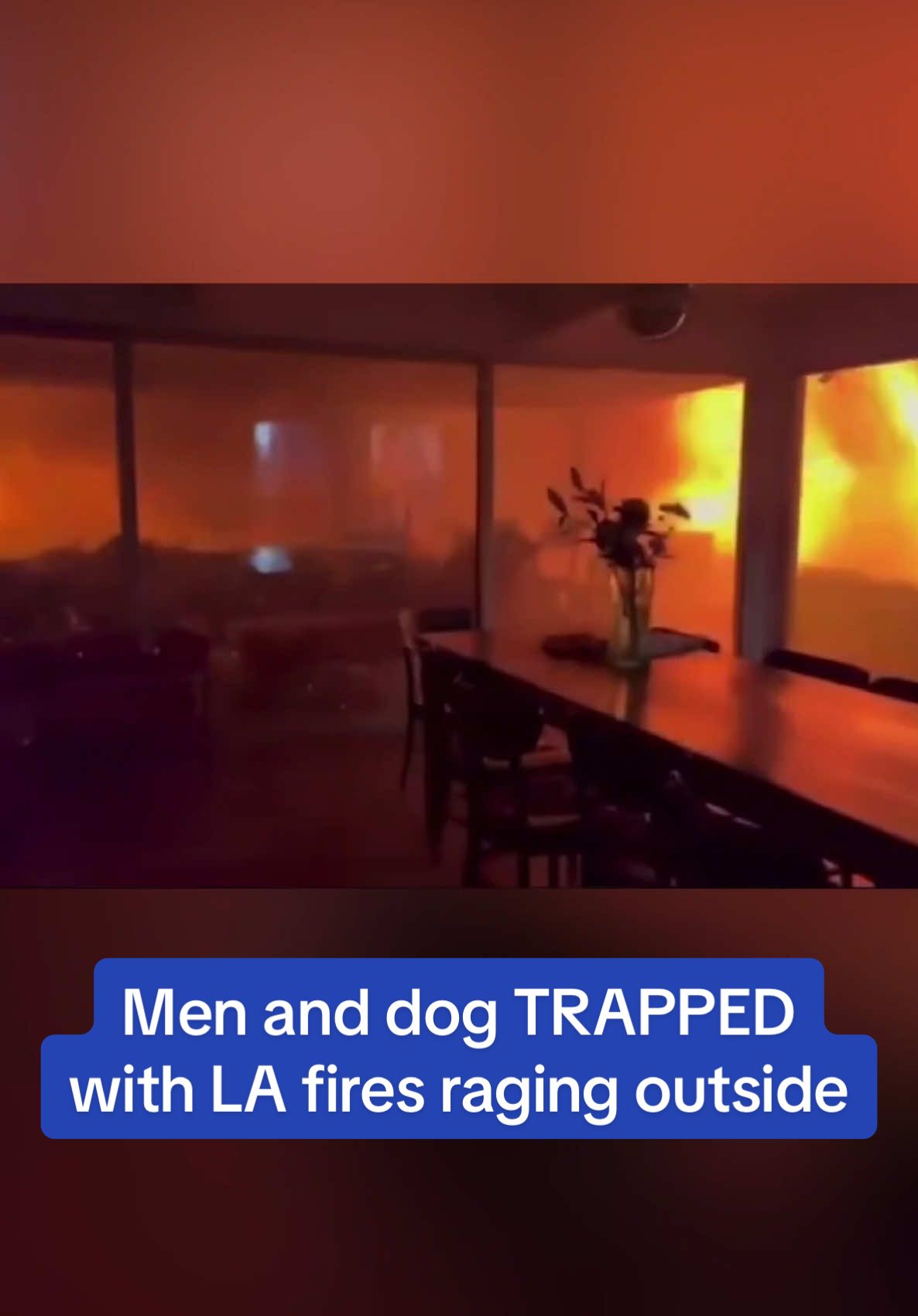 Haunting video footage has emerged of two men and their dog trapped as wildfires encircled their property in Los Angeles.  Three fast-moving fires have forced more than 80,000 residents to evacuate from the Pacific Palisades, Pasadena and Sylmar areas of Los Angeles as of Wednesday morning. The men and the dog in the video were reportedly able to safely evacuate the property. 🎥 X/TheKevinDalton #losangeles #fires #news #pets #california 