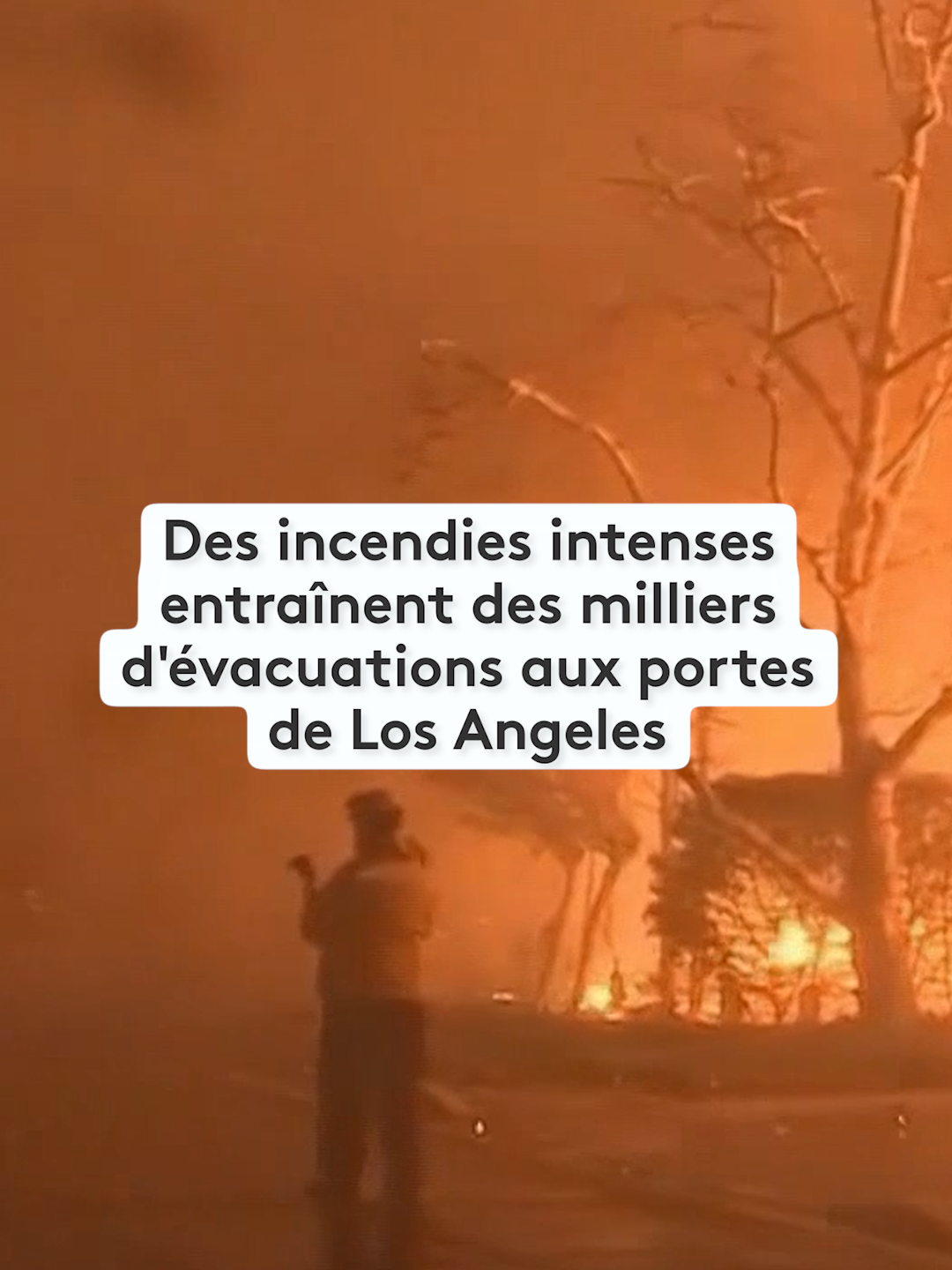 🔥🇺🇸 De violents incendies font rage aux portes de Los Angeles, 2 300 hectares brûlés et près de 30 000 personnes appelées à évacuer. #feu #incendie #losangeles #LA #etatsunis🇺🇸 #usa🇺🇸 #sinformersurtiktok