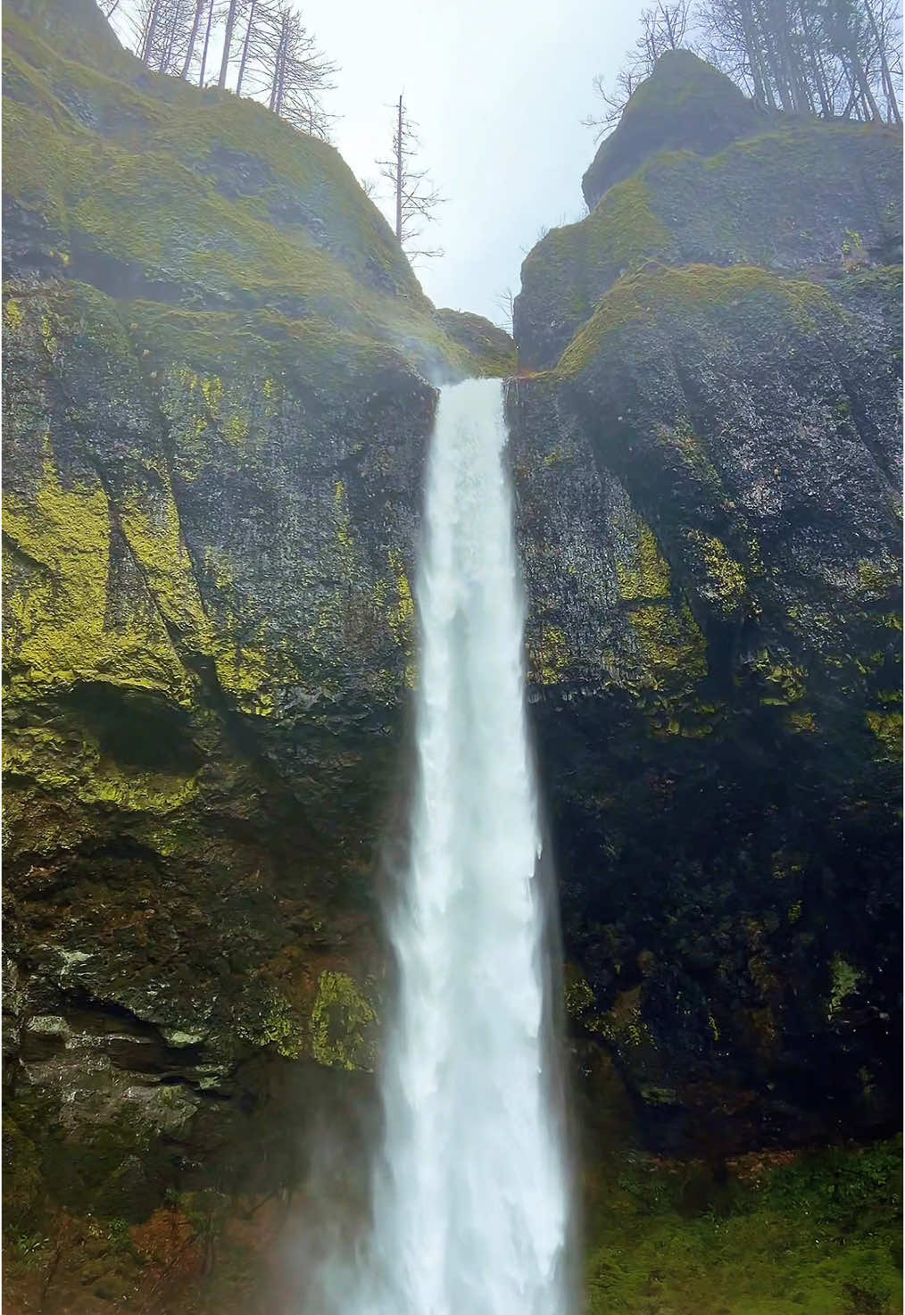 Elowah Falls, Columbia River Gorge, Oregon #CapCut #Hiking #watetfalls #Oregon #columbiarivergorge  #pnw #pacificnorthwest #hoodriver 