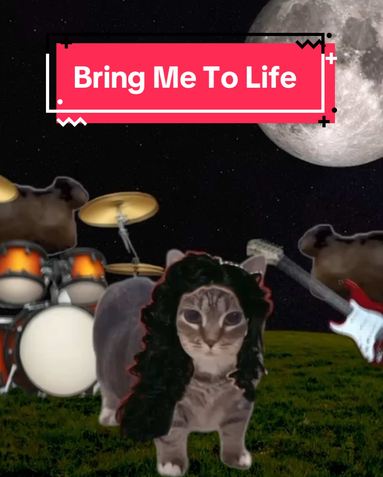 OIA cat sings Bring Me To Life! #cats #catsoftiktok 