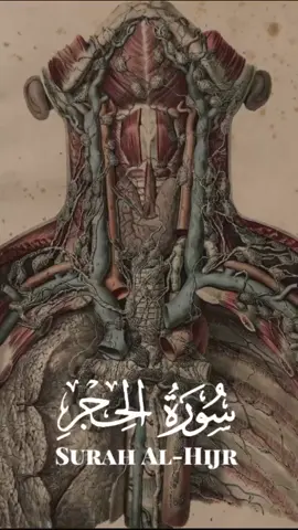 هو الخالق ابتداء، والمربي غذاء، والغافر انتهاء. سبحان الخالق البديع خلق فأبدع فأذهل العقول وسحر العيون بأروع وأجمل ما خلق سبحان الله..  #سورةالحجر #سورة_الحجر #رعدالكردي #رعد_الكردي #القران_الكريم  #القران_نور #الفاتحة #القلب #خلقت