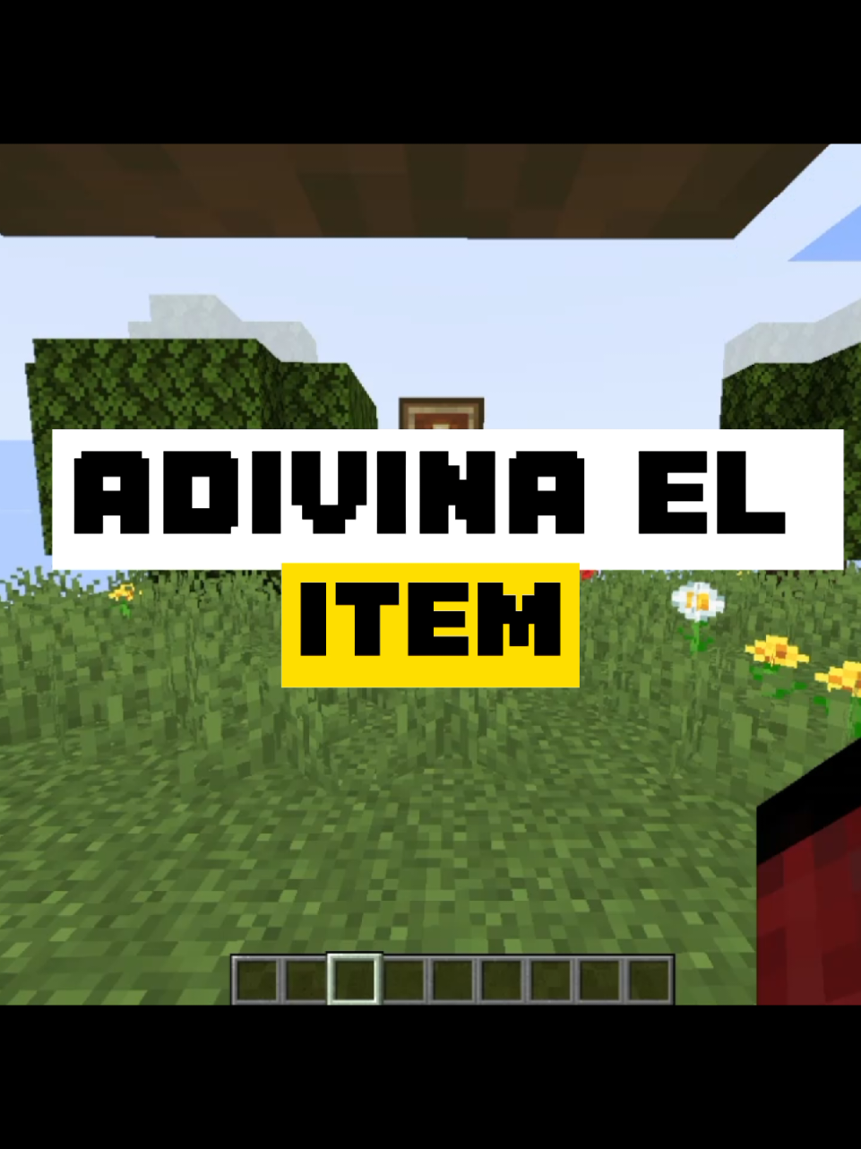 ADIVINA EL ITEM EN MINECRAFT #Minecraft #mine #minijuegos #ricardounivers #fyp #humor #entretenimiento 