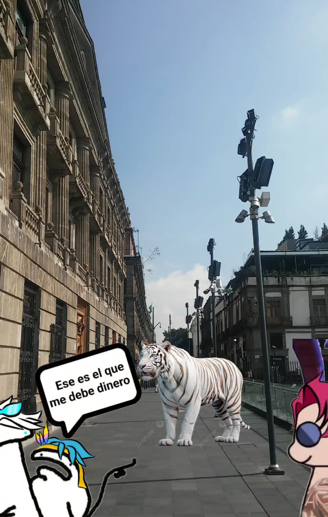 tigre blanco, tigre blanco regálame el pase bro.@Masy ✅ @SueterUwU #tigreblanco #meme #humor #viral #fyp #original #recomendado #paratiiiiiiiiiiiiiiiiiiiiiiiiiiiiiii 