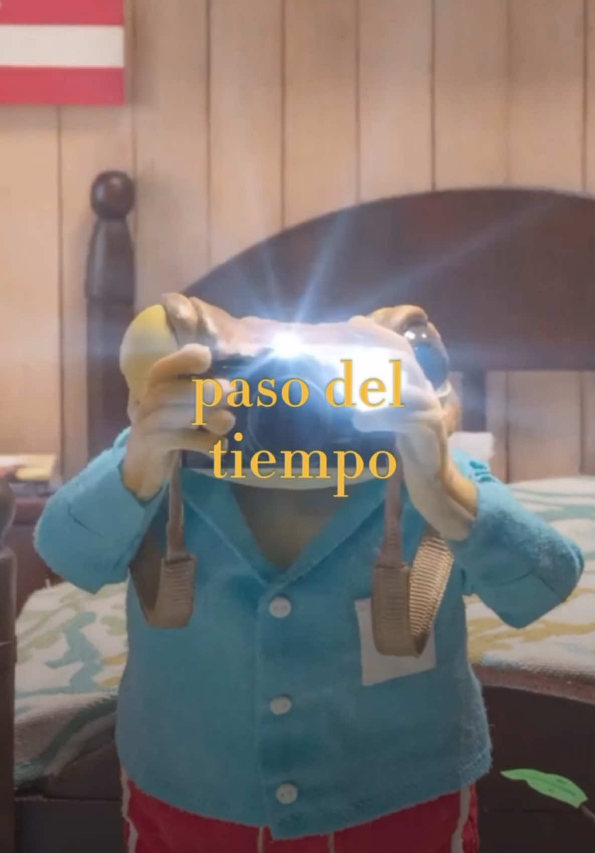 DtMF: un bello recordatorio con toda la esencia boricua de aprovechar todo aquello que está presente y ser valientes para enfrentar lo que nos pesa. Desde su melodia y letra, nos hace recordar esos momentos que nos han marcado, enseñando como el arrepentimientopuede ser una señal para cambiar lo que nos duele y amae lo que tenemos ahora. @Bad Bunny gracias por dar una canción que inspire a todos a tener un año diferente ❤️.  #dtmf #debitirarmasfotos #badbunny🐰 #naturaleza #paratiiiiiiiiiiiiiiiiiiiiiiiiiiiiiii #fyppppppp #sadmusic #desamor💔tristesa #motivacion 