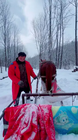 Benda wajib naik bila sampai Snow Valley 🇨🇳  Sleigh Ride Horses 🐎  ##snow##snowvalley##perkampungansalji##harbin❄️