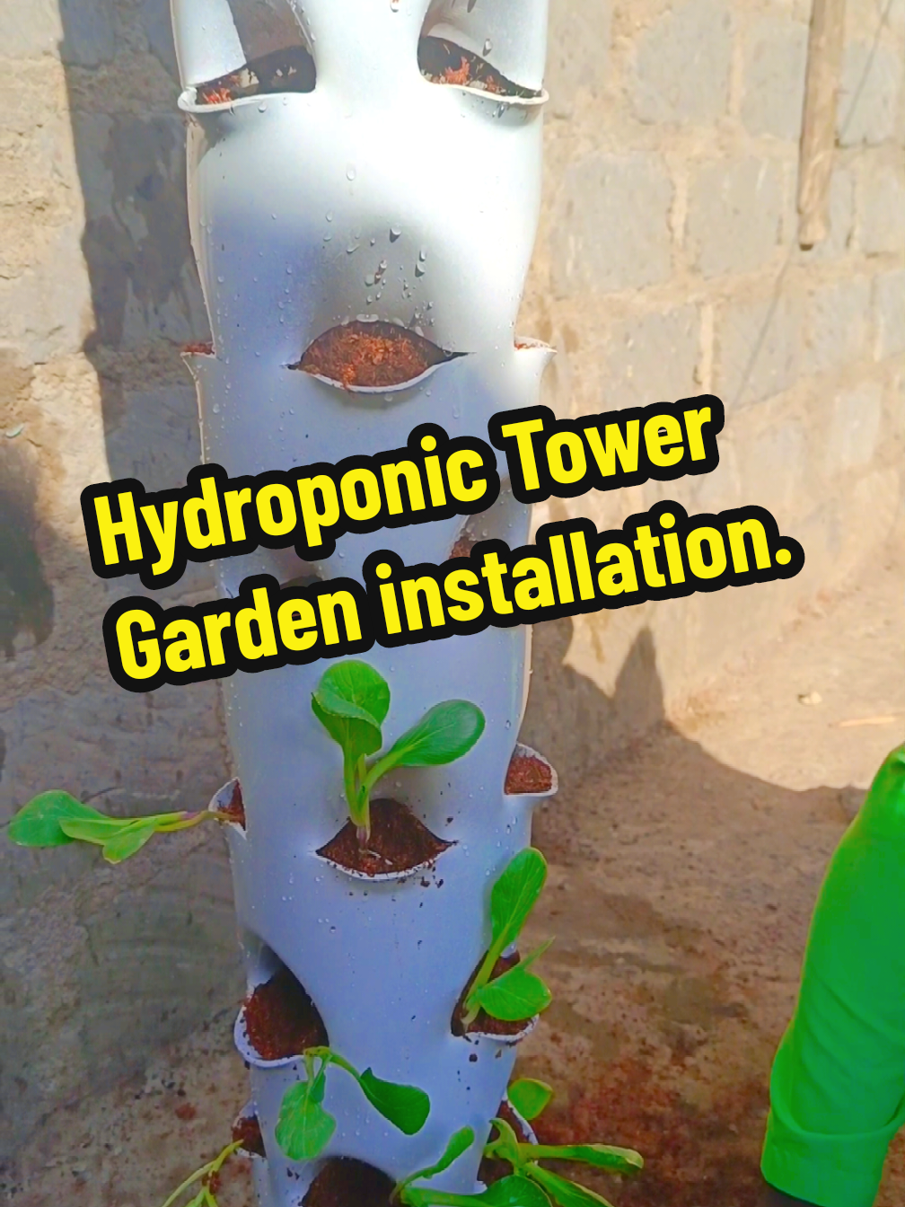 tower gardens provide a sustainable and efficient way to grow fresh produce, even in limited spaces. They offer numerous advantages over traditional gardening, including space-saving, controlled environment, reduced water usage, pest and disease control, year-round growing, and convenience.      #creatorsearchinsights #hydroponic #hydroponicsystem #towergarden #verticalgarden #agriculture #gardenproject #gardentok #farming #agribusiness #foryou #viralvideo 