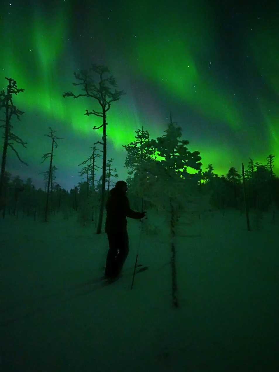 Casually skiing under the northern lights✨ #lapland #finland #northernlights #aurora 